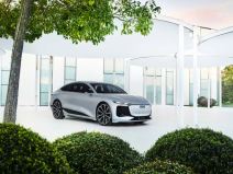 Zabrana prodaje automobila na benzin i dizel