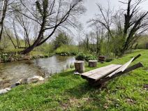 asus zenfone 8 test kompaktni telefon vrhunske performanse snapdragon 888