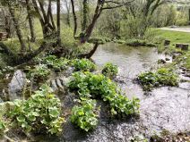 asus zenfone 8 test kompaktni telefon vrhunske performanse snapdragon 888