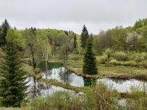 asus zenfone 8 test kompaktni telefon vrhunske performanse snapdragon 888