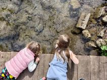 asus zenfone 8 test kompaktni telefon vrhunske performanse snapdragon 888