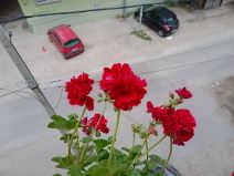 nokia g10 kupovina cena 160 evra saveti utisci kako radi kvalitet jeftin telefon kamera foto video