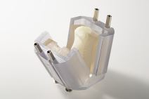 gordana vunjak-novakovic srpska naučnica nagrada