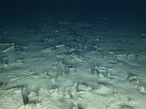 Istraživanje Titanika turistička tura karta 150.000 dolara