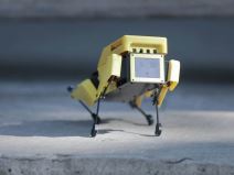 Mini Pupper robot pas 4