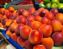 nektarine pijaca pijace