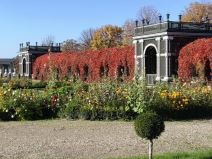 Huawei nova 9 kamera kvalitet fotografija