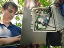 Huawei telefoni kišne šume zaštita od seče šuma 10.jpg