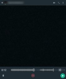 WhatsApp preslušavanje audio zapisa i voice poruke pre slanja 2.png