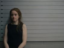 Serija Inventing Anna