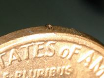 Mali roboti će nam čistiti arterije