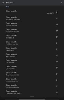 Google Translate History 9.jpg