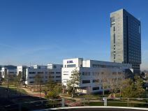 Najvažnija tehnološka kompanija za koju niko nije čuo