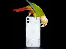 Nothing phone (1) izgled zadnjeg panela