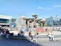 HONOR Magic4 Lite Kamera Slike (6).jpg