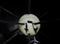 Al Rihla lopta 1.jpg