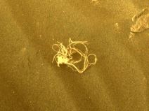 Misteriozni objekat na Marsu