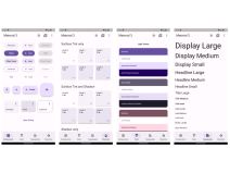 Google Flutter 3.jpg