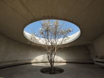 Motorola Edge 30 Ultra Slike Kamere (17).jpg