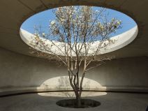 Motorola Edge 30 Ultra Slike Kamere (16).jpg