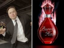 Ilon Mask Burnt Hair.jpg