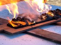 Everything You Need to Know About Exploding Batteries 4-19 screenshot.png