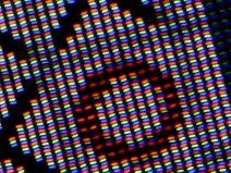 Smartphone Pixels under microscope (IPS vs OLED) 4-23 screenshot.png