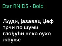 EtarRNIDS - Bold.jpg