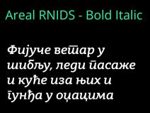 ArealRNIDS - Bold Italic.jpg