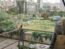 The Last of Us svet 13.png