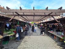 Samsung Galaxy A54 slike danju 12.jpg