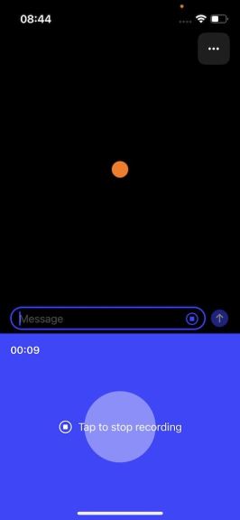 ChatGPT aplikacija 3.jpeg