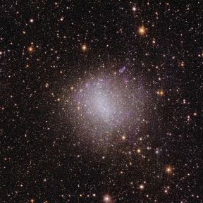 Euclid_s_view_of_irregular_galaxy_NGC_6822.jpg