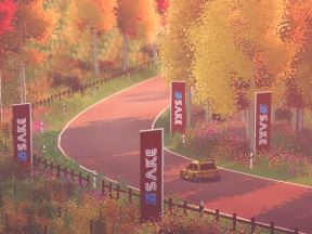 Art of Rally 7.jpg