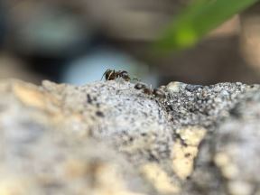 IMG_20240518_123212.jpg