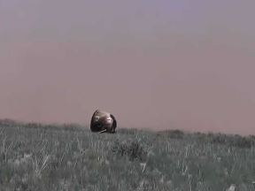 Chang'e 6 sletanje 4.jpg