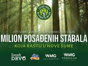 Zasadi drvo