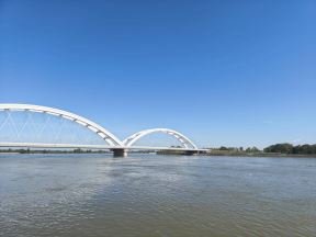 IMG_20241001_131126.jpg