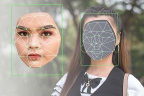 Deepfake lice