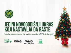 Zasadi drvo