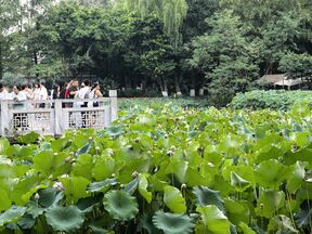 Huawei Pura 90s Pro Max test kamere slika 11.jpg
