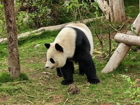 Huawei Pura 90s Pro Max test kamere slika 2.jpg