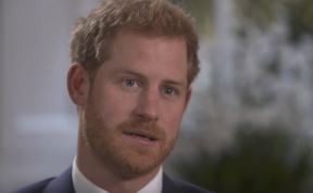 Meghan Markle PornHub pretraga