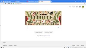 Google Badnji Dan, Google Božic, Google.rs praznici, Google.com praznici