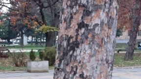 Sony Xperia Z5 Premium test, specifikacije, dostupnost, 