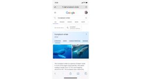 Menja se Google Search 