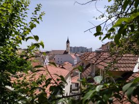 test tlc 20l plus i 20 pro 5g