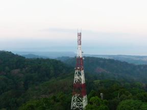 Huawei telefoni kišne šume zaštita od seče šuma 3.jpg