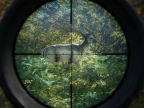 theHunter: Call of the Wild