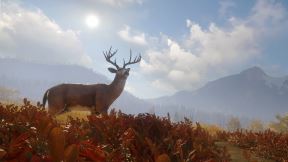TheHunter (4).jpg